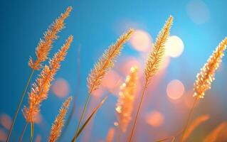 ai gerado dourado trigo campo e azul céu foto