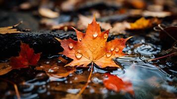 ai gerado bordo folha dentro outono floresta com Sol raios e reflexão dentro água foto