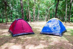 acampamento e barraca debaixo árvore dentro manhã nascer do sol. foto