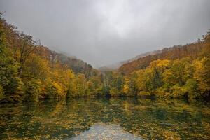 lindo, colorida outono lago. surpreendente água reflexão, pacífico natureza cenário. amarelo laranja folhas, enevoado manhã claro. relaxar outonal outono natureza visualizar. brilhante sazonal paisagem, panorâmico foto