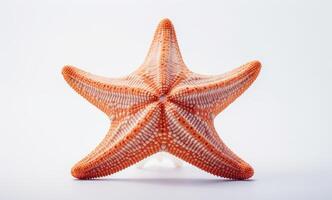 ai gerado estrelas do mar em uma branco fundo, embaixo da agua marinho vida cenário foto