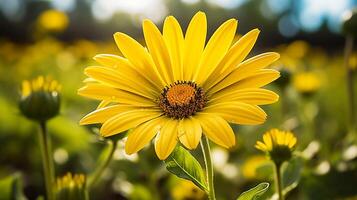 ai gerado vibrante amarelo margarida Flor fechar acima dentro verde Prado foto