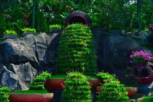 uma verde arbusto parque com pedra atrás foto