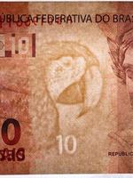 papel-moeda brasileiro foto