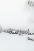 nebuloso manhã dentro uma Nevado panorama dentro visalaje, beskydy montanhas dentro a Oriental parte do a tcheco república. branco fada conto dentro inverno meses foto