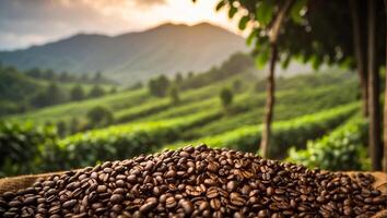 ai gerado café colheita em plantação foto