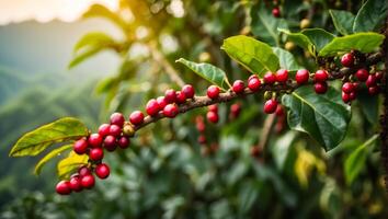 ai gerado café amadurecimento em uma plantação foto