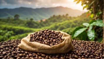 ai gerado café colheita em plantação foto