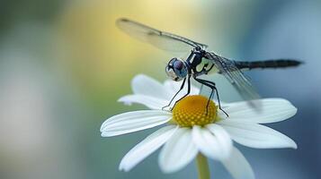 ai gerado libélula em repouso em a pétalas do uma branco flor ai gerado foto
