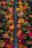 ai gerado foto do em linha reta estrada este cortes através a meio do denso, colorida outono folhagem. solteiro branco carro devemos estar visível em a estrada, enfatizando solidão e tranquilidade ai gerado