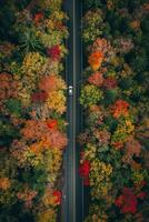 ai gerado foto do em linha reta estrada este cortes através a meio do denso, colorida outono folhagem. solteiro branco carro devemos estar visível em a estrada, enfatizando solidão e tranquilidade ai gerado