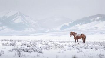 ai gerado sereno e Nevado panorama com uma solteiro Castanho cavalo em pé dentro a neve ai gerado foto