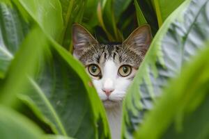 ai gerado gato encarando através grande, vibrante verde folhas ai gerado foto