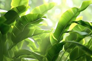 ai gerado verde com nervuras bananeira plantar lindo floral fundo 3d render foto