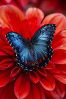 ai gerado azul e Preto borboleta em repouso em a pétala do uma brilhante vermelho flor ai gerado foto