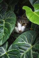 ai gerado gato encarando através grande, vibrante Sombrio verde folhas. ai gerado foto