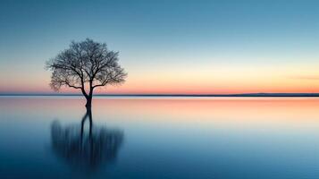 ai gerado sereno foto do solitário árvore em pé parcialmente submerso dentro calma corpo do água, com a gradiente matizes do pôr do sol ou nascer do sol refletindo em a água superfície. ai gerado