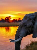ai gerado elefante em pé de uma água corpo às pôr do sol ai gerado foto