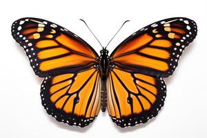 ai gerado isolado monarca borboleta em branco fundo foto