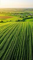 ai gerado aéreo Visão captura grande, exuberante verde campo com cultivo plantado dentro direto, paralelo linhas. a campo é vibrante e bem mantido, indicando saudável colheita crescimento. ai gerado foto