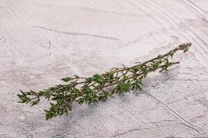 Tomilho - aromático tempero ervas plantar foto