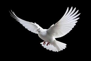 ai gerado pacífico branco pomba simboliza liberdade em Preto fundo foto
