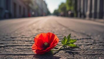 ai gerado lindo solitário flor cresce a partir de asfalto foto