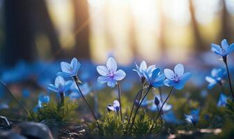 ai gerado Primavera floco de neve flores lindo natureza cena com florescendo floresta flores foto