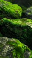 ai gerado explorar a textura e vibrante verde matizes do musgo cobertura pedras dentro uma natural contexto, fundo imagem, generativo ai foto