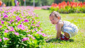 curioso bebê rastejando dentro vibrante flor parque, explorando exuberante jardim em ensolarado dia. criança pequena dentro brincalhão posição rasteja, com campo do Rosa flores e exuberante vegetação, momento do descoberta e prazer. foto