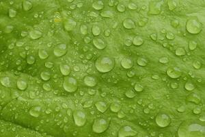 verde folha macro dentro gotas do água. verde alface folha com ampla gotas depois de a chuva. verde folha textura fechar acima. natureza verde brilhante fundo foto