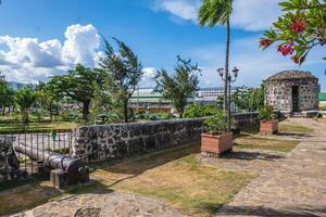 forte san Pedro, uma militares defesa estrutura dentro Cebu, Filipinas foto