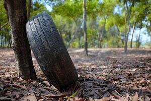 velho carro pneu inclinado em a árvore dentro a parque foto