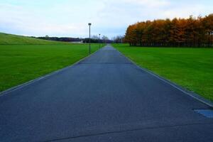 grandes asfalto estrada dentro moerenuma parque sapporo, Hokkaido Japão. foto