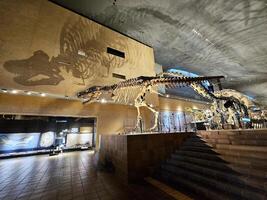 kitakyushu, Japão novembro 15, 2023 t-rex ossos com sombra às kitakyushu museu do natural história e humano história. isto é uma famoso ponto de referência do fukuoka. foto