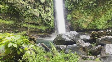 lindo cachoeira, nomeado curug serrador dentro a meio do Indonésia floresta tropical, ásia floresta escondido gema foto