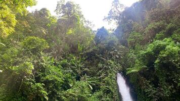 lindo cachoeira, nomeado curug serrador dentro a meio do Indonésia floresta tropical, ásia floresta escondido gema foto