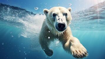 ai gerado polar Urso Alto qualidade imagem foto