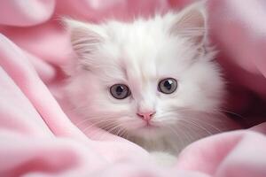 ai gerado retrato do uma branco fofo gatinho dentro uma Rosa cobertor foto