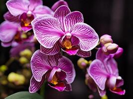 ai gerado roxa traça orquídeas dentro flor fechar acima foto. ai gerado foto