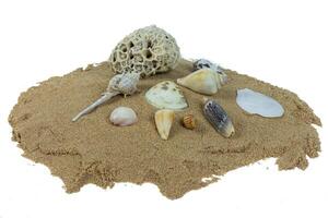 pilha do cartuchos em de praia areia isolado em branco fundo foto
