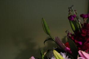 ainda vida. luxo Primavera flores em uma Preto fundo. cor florescer. baixo chave foto
