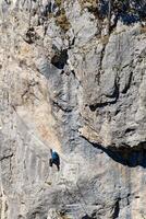 uma pessoa escalada uma através da ferrata rota em uma vertical Rocha muro. Esportes vida dentro a montanhas. ativo vida. alpinista usando apropriado equipamento para segurança. foto