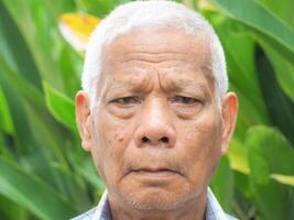 retrato do uma Senior ásia homem olhando às a Câmera enquanto em pé dentro a jardim foto