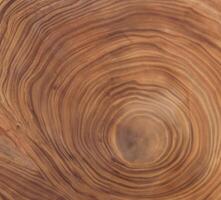 Castanho fundo e textura Cruz seção do árvore tronco mostrando crescimento argolas foto