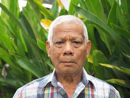 retrato do a idosos ásia homem olhando às Câmera enquanto em pé dentro uma jardim foto