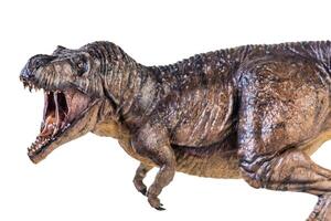 trex tiranossauro dinossauro em isolado fundo foto