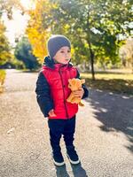 pequeno Garoto dentro uma vermelho Jaqueta com dele Amado Urso de pelúcia urso. uma pequeno Garoto dentro uma vermelho Jaqueta segurando uma Urso de pelúcia Urso foto