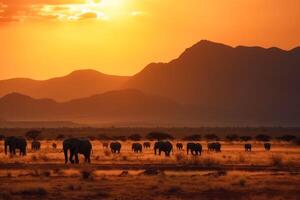 ai gerado pôr do sol do animais em a planícies. uma rebanho do elefantes caminhando através uma seco Relva campo foto