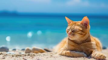 ai gerado uma malhado gato é deitado em a praia, Está patas estendido dentro frente do isto, ai gerado foto
